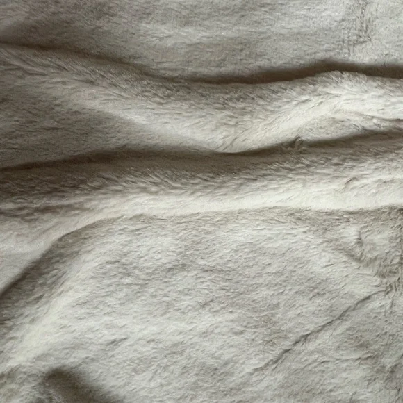 Zara Gray Teddy Jacket with Cream Faux Fur Collar - Picture 8 of 11